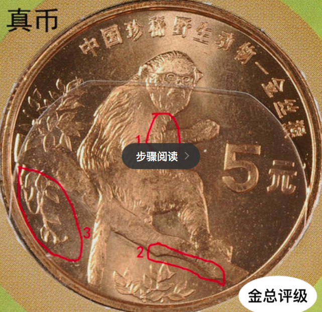 如何分辨真假珍惜动物金丝猴纪念币