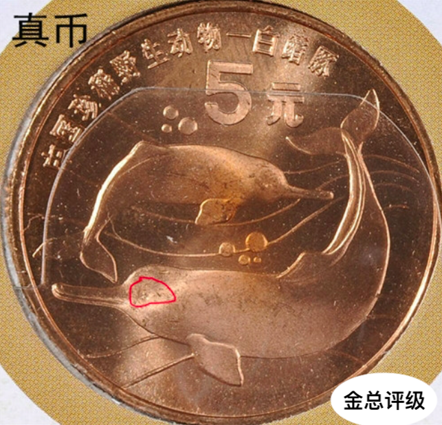 珍惜动物白暨豚纪念币真假对比