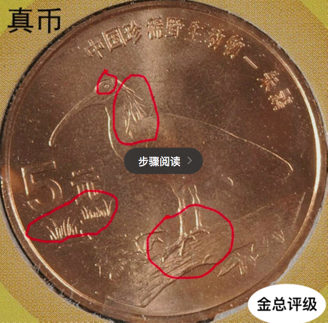 你知道分辨真假珍稀动物朱鹮纪念币吗？